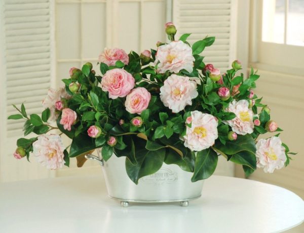 Charming Poppy & Daisy Mix - Image 3